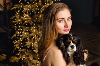 Genç bir kadın, köpeği süvari kralı Charles Spaniel ile birlikte yerde oturuyor. Yeni yıl odasında şöminenin önünde. Altın madalyonları ve ışık çelenkleri olan bir Noel ağacı..