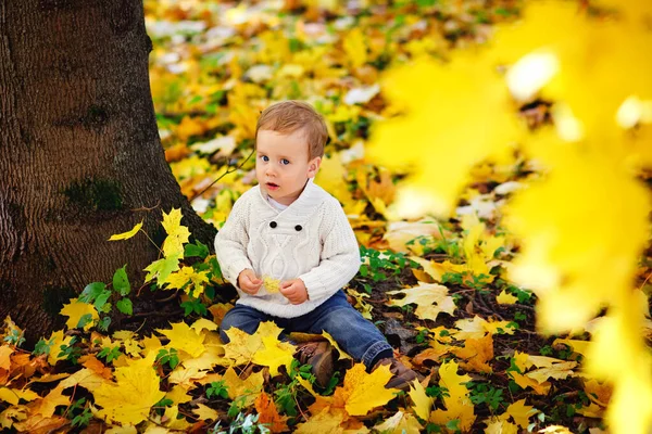 Bebé Otoño Naturaleza Niño Parque Otoño Lindo Chico Jugando Con — Foto de Stock