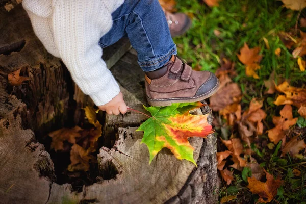 Bambino Siede Ceppo Legno Mentre Cammina Nella Foresta Una Giornata — Foto Stock