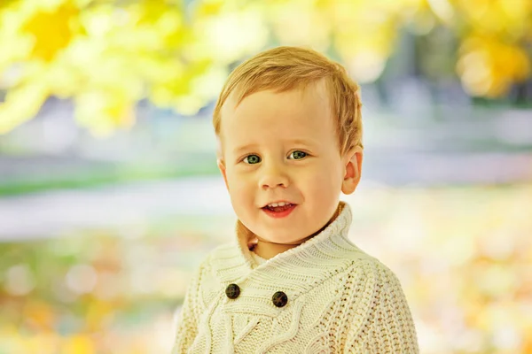 Немовля Восени Природі Дитина Осінньому Парку Милий Хлопчик Грає Кленовим — стокове фото