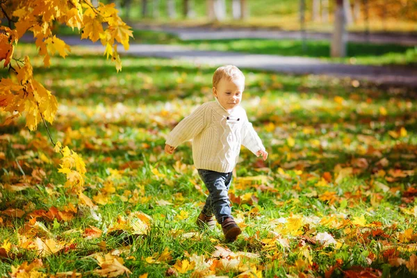 Bambino Autunno Nella Natura Bambino Parco Autunnale Carino Ragazzo Giocare — Foto Stock