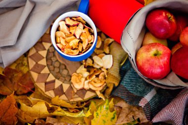 Olgun elmalar ve sonbahar sarısı yapraklardan oluşan bir çemberin içinde kurumuş elmalar. Doğada piknik