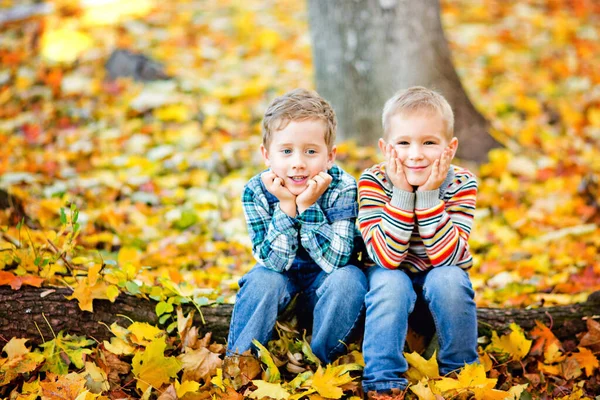 Twee Kleine Broertjes Zitten Een Boomstam Een Herfstpark Tussen Gele — Stockfoto