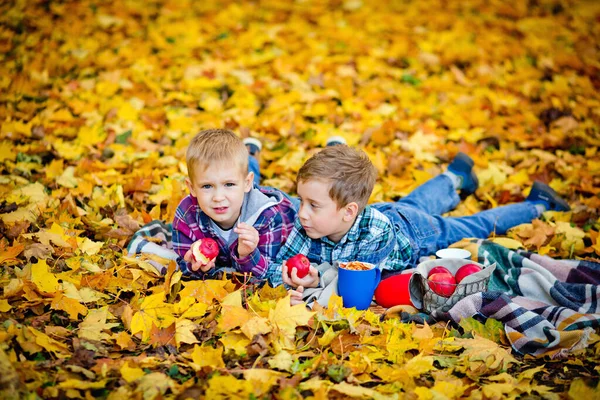 Szczęśliwe Dzieci Leżą Jesiennych Liściach Kocu Czerwonymi Jabłkami Rękach Zabawne — Zdjęcie stockowe