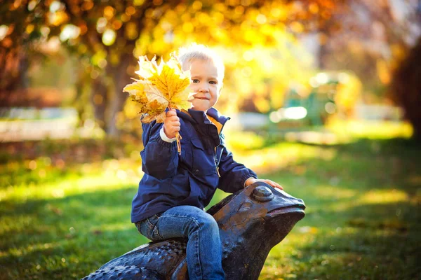 Rapazinho Num Parque Outono Uma Criança Feliz Segura Folhas Caídas — Fotografia de Stock