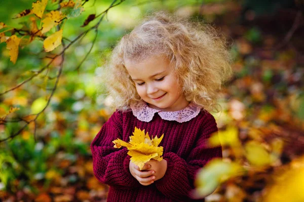 可愛い女の子巻きブロンドは美しい秋の日に楽しんでいます 秋の公園で遊ぶ幸せな子供 赤ちゃんは黄色い紅葉を集める 子供向け秋のイベント — ストック写真