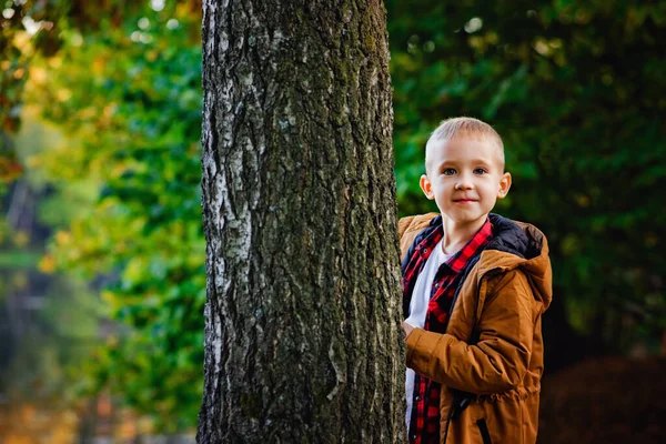 Ragazzo Giacca Marrone Gioca Parco Autunnale Giocosamente Sbirciando Fuori Dietro — Foto Stock