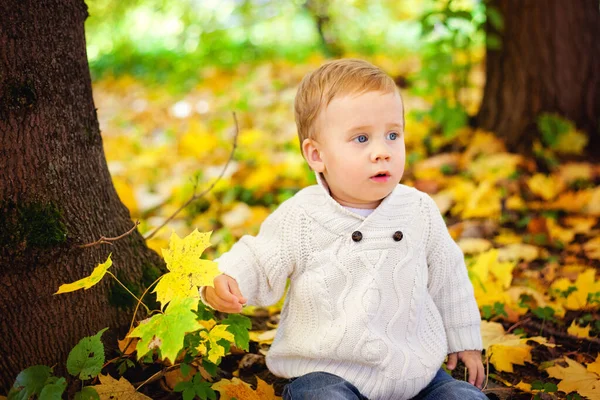 Bambino Autunno Nella Natura Bambino Parco Autunnale Carino Ragazzo Giocare — Foto Stock