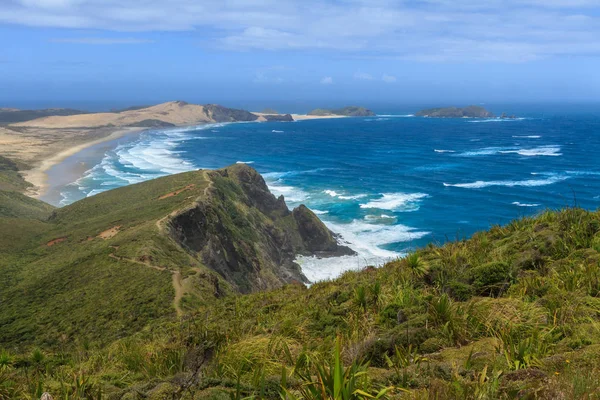サーフはニュージーランドの遠い北でケープ レインガの高さからケープ マリア ヴァン ディーメン Werahi ビーチのこのビューに急 岩が多い海岸線に改します — ストック写真