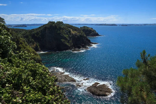 Ilha Motuarohia Baía Das Ilhas Nova Zelândia Uma Vista Ponto — Fotografia de Stock