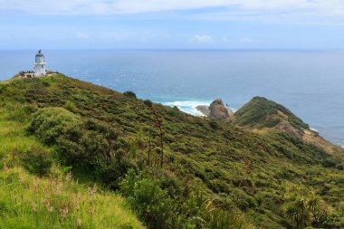 Cape Reinga aşırı kuzeyinde Yeni Zelanda. İkonik deniz feneri ve denize bakan cape