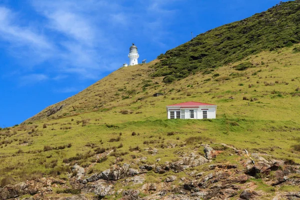 Cape Brett in the Bay of Islands, New Zealand. The historic lighthouse, built in 1910, stands atop the cliff. Beneath it is the former lighthouse keeper's house, now a Department of Conservation hut