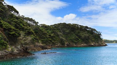 Bir sahil şeridi içinde güzel Bay Islands, Yeni Zelanda. Yerli orman tam aşağı kayalık sahil geçiyor. 