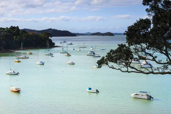 Una Vista Opua Justo Sur Paihia Bahía Las Islas Nueva — Foto de Stock