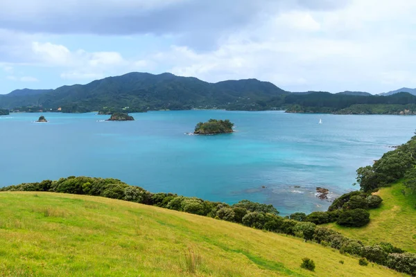 Isla Urupukapuka Hermosa Bahía Las Islas Nueva Zelanda Rodando Laderas — Foto de Stock