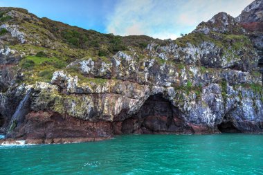 Deniz bankalar Yarımadası, South Island, Yeni Zelanda'nın sarp kayalıklarla mağaralar. Akaroa deniz yedekte fotoğrafı 