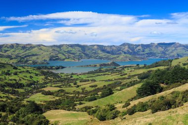 Akaroa Limanı, bankalar Yarımadası dağlı görüldüğü gibi İngiltere. Soldan sağa doğru Duvauchelle, Onawe Yarımadası ve Akaroa kendisi, ana turistik hedef küçük yerleşim vardır 