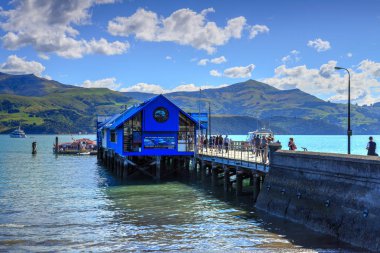 Akaroa, Yeni Zelanda. Bir doğa ile ana wharf cruise iş yanında, kazıklara su üstünde ortaya çıkar. Turistler geri onların cruise liner bir feribota yakalamak için iskele boyunca yürüyüş. 25 Mart 2018