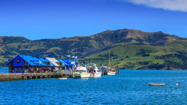 Principal Cais Akaroa Bela Península Banks Nova Zelândia Edifícios Azuis — Fotografia de Stock