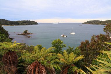 Halfmoon Bay, Stewart Island, Yeni Zelanda, yerli orman tarafından çevrili huzurlu bir anchorage bir görüntü. Bir cruise liner uzaktan görülebilir.