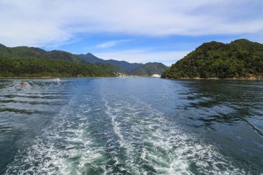 Picton, Yeni Zelanda, küçük kasaba bırakarak ve doğal Kraliçe Charlotte ses içine doğru bir tekneden geri arıyorsunuz. 