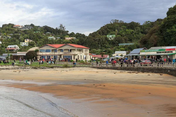 Oban Stewart Island Ciudad Más Austral Nueva Zelanda Encuentra Pintoresca — Foto de Stock