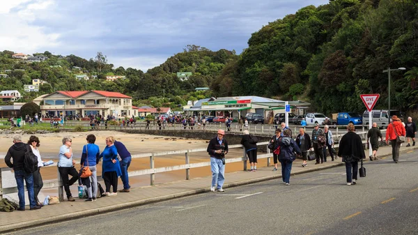 Oban Única Cidade Ilha Stewart Extremo Sul Nova Zelândia Supermercado — Fotografia de Stock