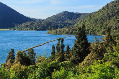 Lake Tikitapu, ya da Mavi Göl alanında Rotorua, Yeni Zelanda. Göl kapısı 