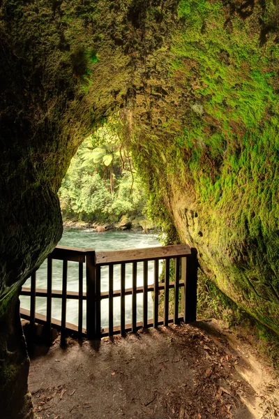 Okere Falls Area Rotorua New Zealand Mossy Interior Tutea Cave — Stock Photo, Image
