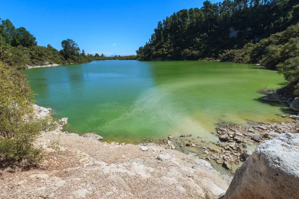 Lago Área Geotérmica Waiotapu Nova Zelândia Manchado Verde Amarelo Brilhante — Fotografia de Stock