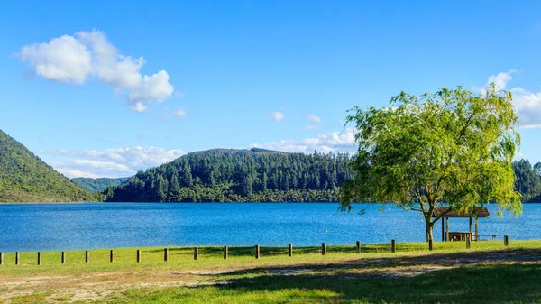 Panorama Del Lago Tikitapu Lago Azul Región Rotorua Nueva Zelanda — Foto de Stock