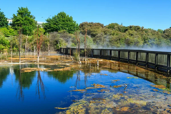 The colors of a geothermal lake in Kuirau Park, Rotorua, New Zealand. Divided in half by a wooden walkway, part of the lake is steaming hot and the other is cooler with vivid algal blooms