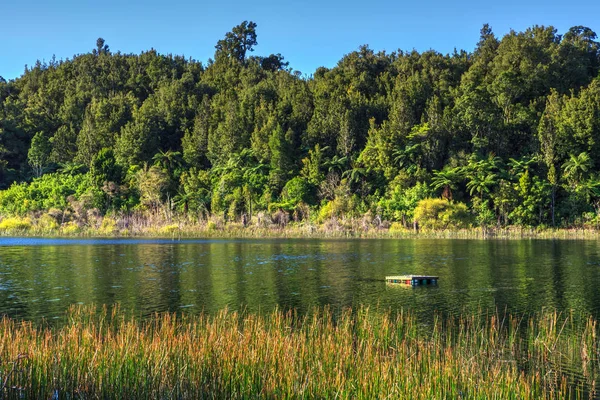 Lago Rotoma Região Rototua Nova Zelândia Cercado Por Florestas Nativas — Fotografia de Stock