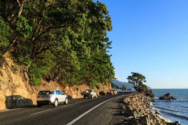 Coromandel Yarımadası 'nda kıyı yolu, Yeni Zelanda. Yolun bir tarafında ormanlı kayalıklar, diğer tarafta, okyanus 