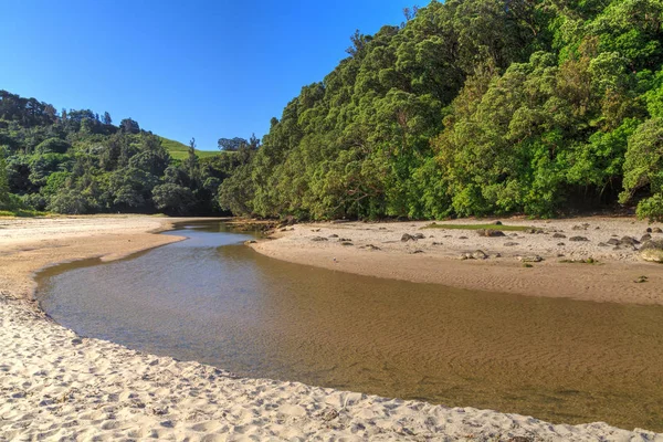 Whiritoa Playa Una Zona Pintoresca Lugar Vacaciones Península Coromandel Nueva — Foto de Stock