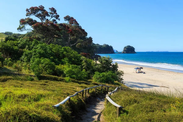 Una Playa Nueva Zelanda Verano Sendero Conduce Arena Más Allá — Foto de Stock
