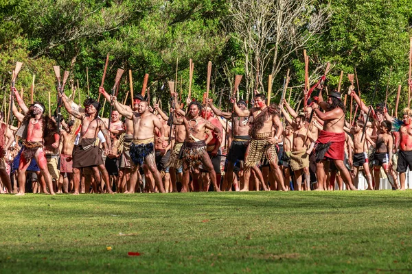 Duża Grupa Mężczyzn Maori Ubranych Jak Wojowników Wykonujących Haka Taniec — Zdjęcie stockowe