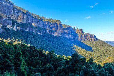 Güzel Blue Mountains'da kayalık bir uçurum ve okaliptüs ormanı, Yeni Güney Galler, Avustralya 