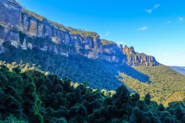 A rocky cliff and eucalyptus forest in the beautiful Blue Mountains, New South Wales, Australia  clipart