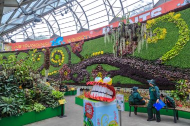 Royal Botanic Garden, Sydney, Avustralya 