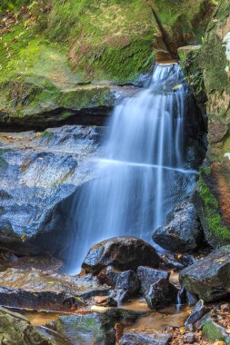 Blue Mountains Milli Parkı'nda yosunlu kayaların üzerine çağlayan şelale, Yeni Güney Galler, Avustralya 