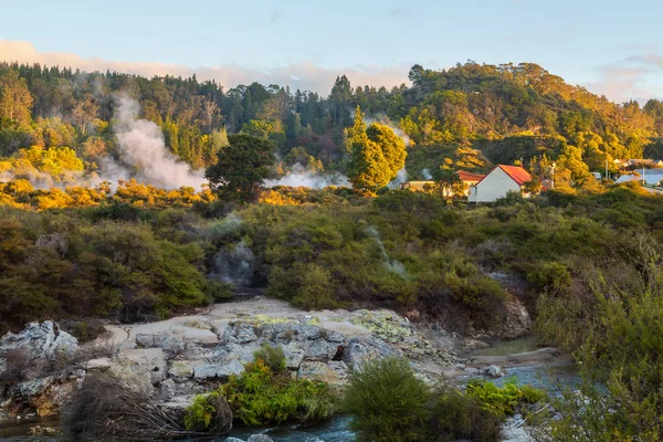 Paisagem Nos Arredores Rotorua Nova Zelândia Com Vapor Subindo Piscinas — Fotografia de Stock