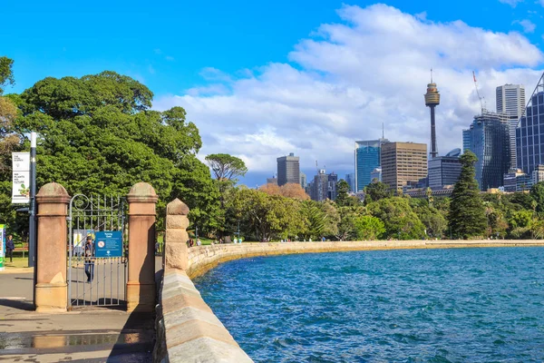 Királyi Botanikus Kert Farm Cove Sydney Skyline Látható Mrs Macquaries — Stock Fotó