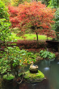 Bahçede büyüyen parlak kırmızı sonbahar yapraklı bir Japon akçaağacı. Ön planda yosunlu kayalar ve küçük bir çeşmeyle dekoratif bir havuz var. 