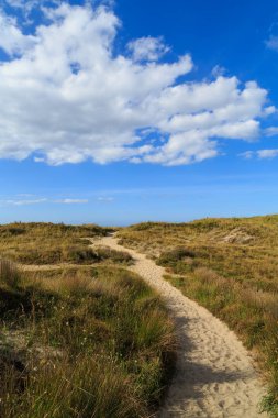 Plaj otlarının arasından geçen kumlu bir patika, mavi bir gökyüzü ve tepede kabarık bulutlar. Papamoa, Yeni Zelanda'da çekildi