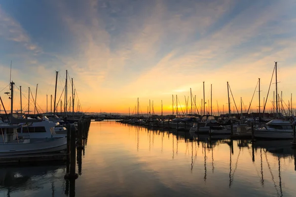Gün batımında bir marina, su sakin ve gökyüzü altın bulutlarla dolu. Tauranga, Yeni Zelanda 