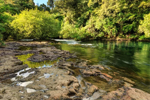 Ένα Ποτάμι Της Νέας Ζηλανδίας Που Διασχίζει Δάσος Ιθαγενών Συνεχώς — Φωτογραφία Αρχείου