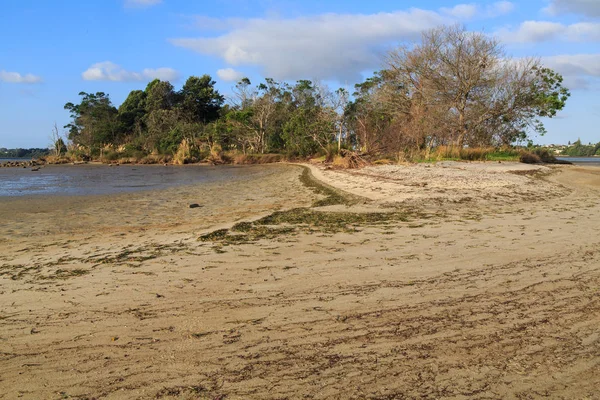 Una Isla Puerto Marea Retroceso Dejado Anillos Algas Arena Que —  Fotos de Stock