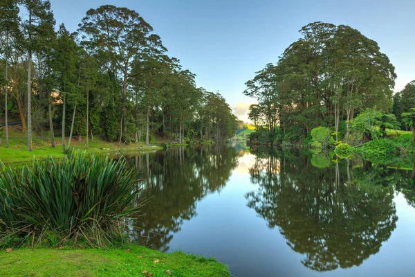 Alacakaranlıkta sakin bir göl, etrafını saran yüksek okaliptüs ağaçlarını yansıtıyor. Mclaren Şelaleleri Parkı, Bolluk Körfezi, Yeni Zelanda