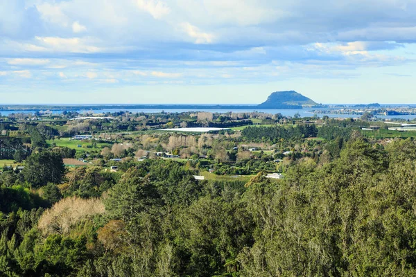 Rural Landscape Bay Plenty New Zealand Seen Kaimai Mountains Foreground — Stockfoto